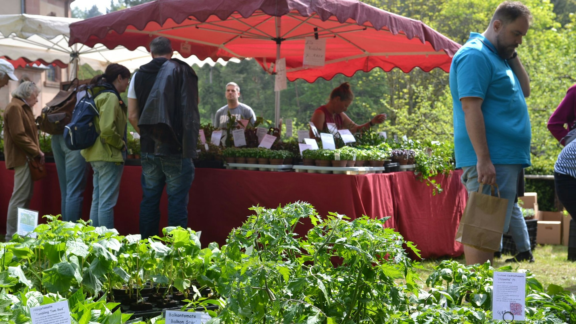 Menschen stehen an einem Marktstand, im Vordergrund Kräuter.