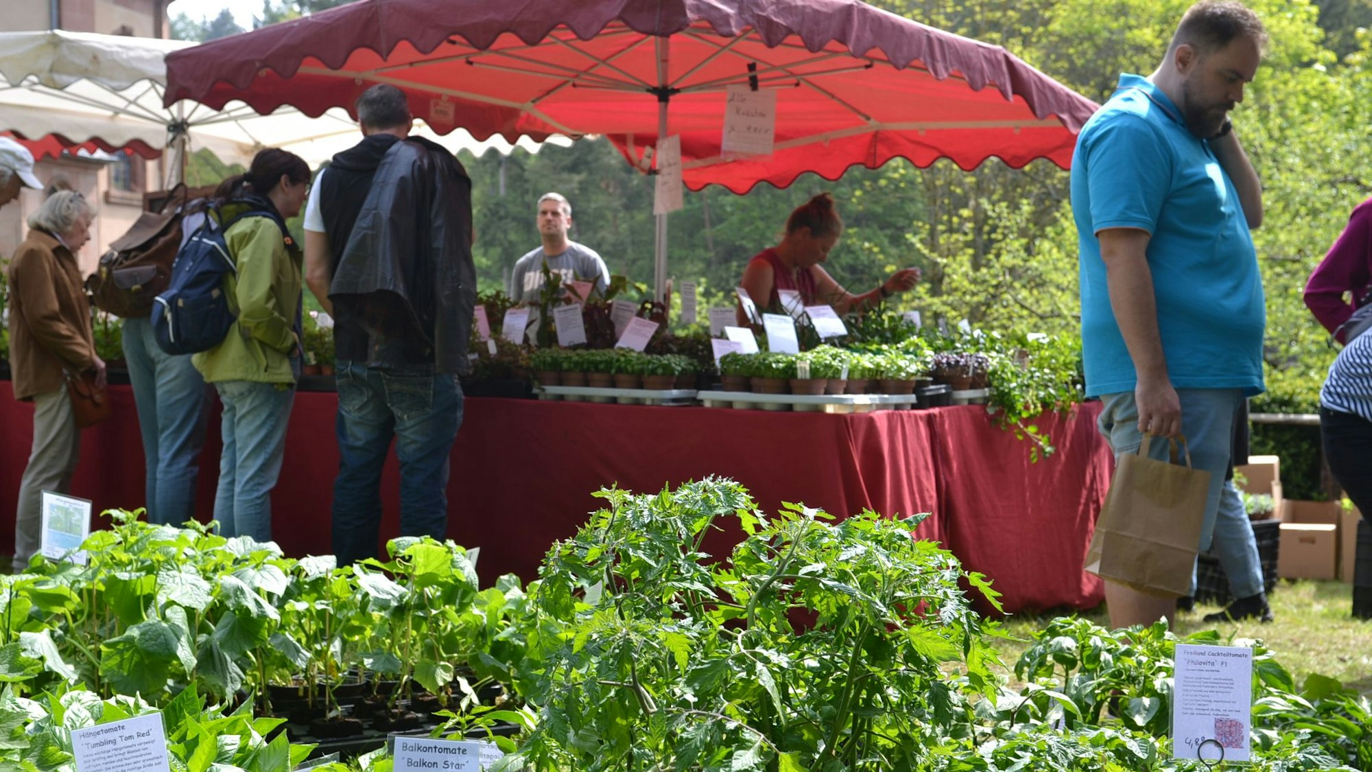 Die Besucher bestaunten die Kräuter-Vielfalt.