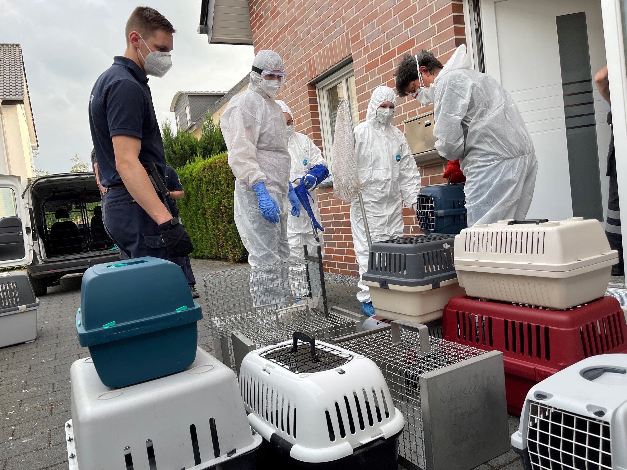 Lippstadt: Einsatzkräfte tragen Boxen mit Katzen aus einem Haus. Von den 50 bis 60 Tieren in teils schlechtem Zustand, die in dem Haus gefunden wurden, seien einige bereits tot gewesen, teilte die Polizei am Sonntag mit.