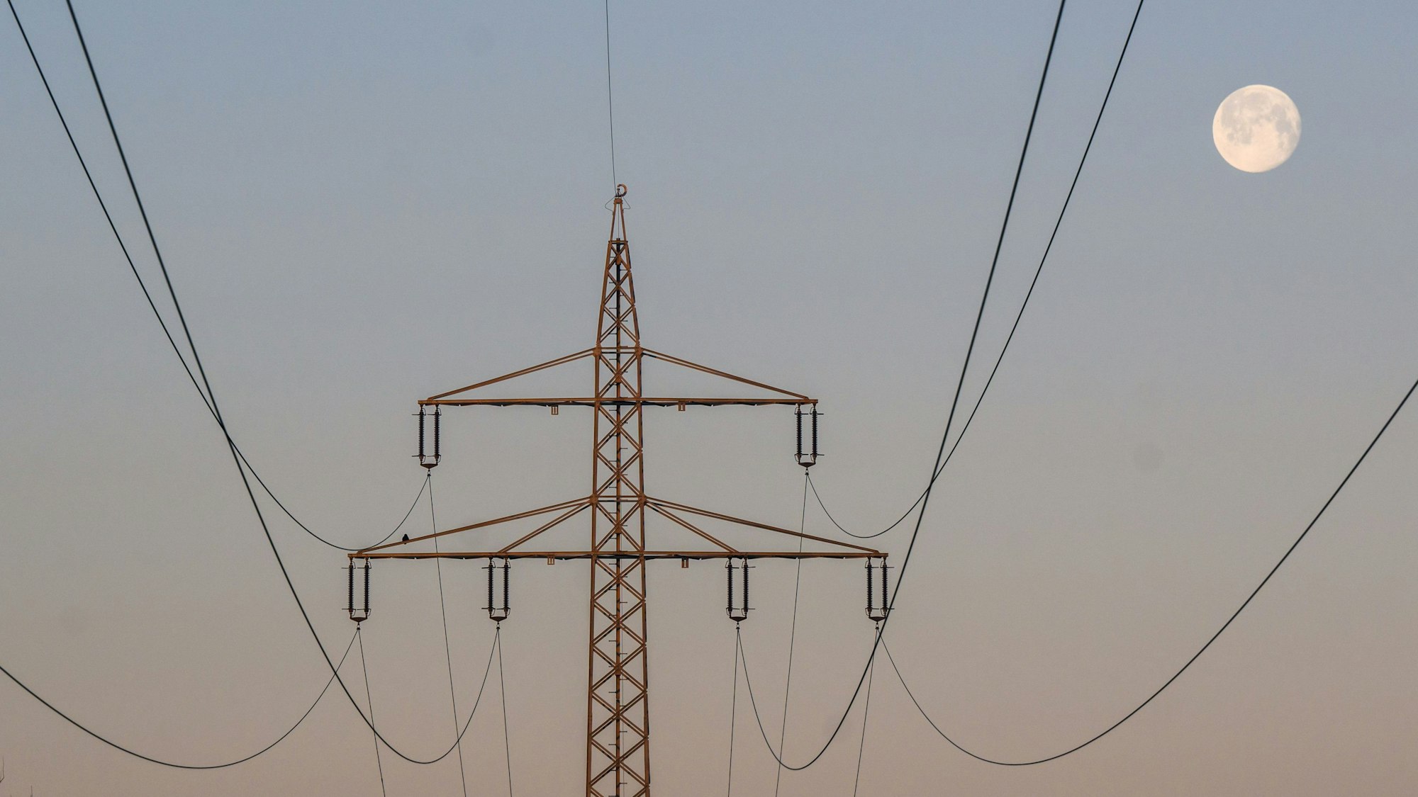 Das Foto zeigt einen Hochspannungsmast.
