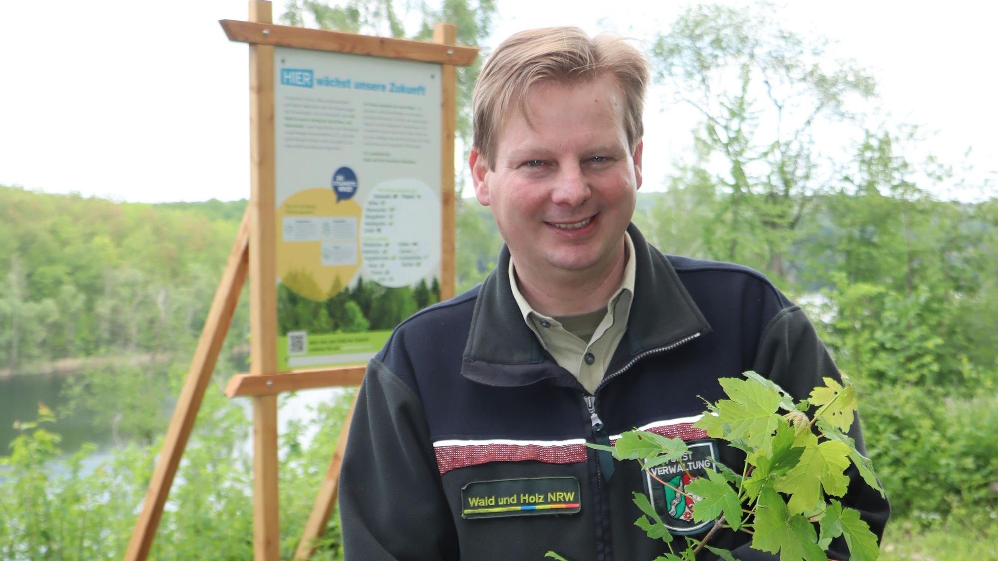 Revierförster Frank Pechtheyden hält ein etwa drei Jahre altes Ahornbäumchen in der Hand.