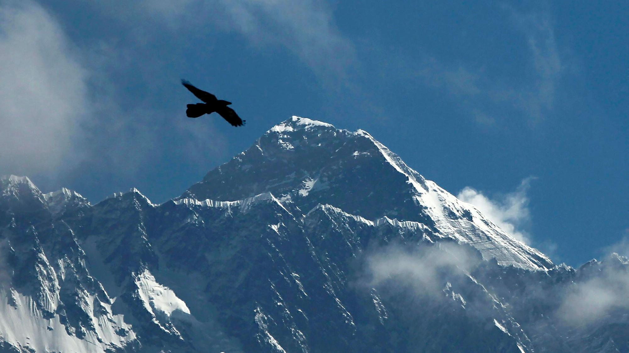 Ein Vogel fliegt vor dem Mount Everest.