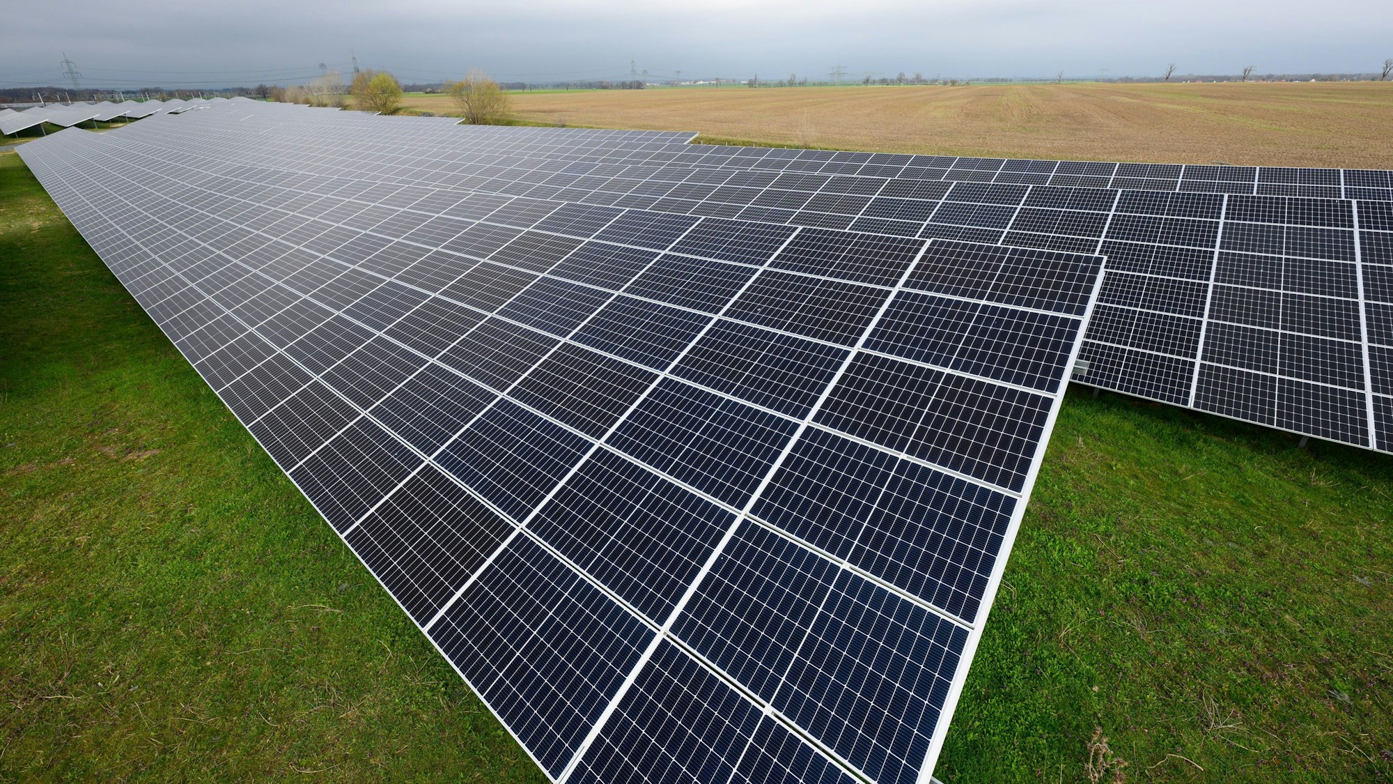 Das Symbolfoto zeigt Solaranlagen auf einer Wiese.