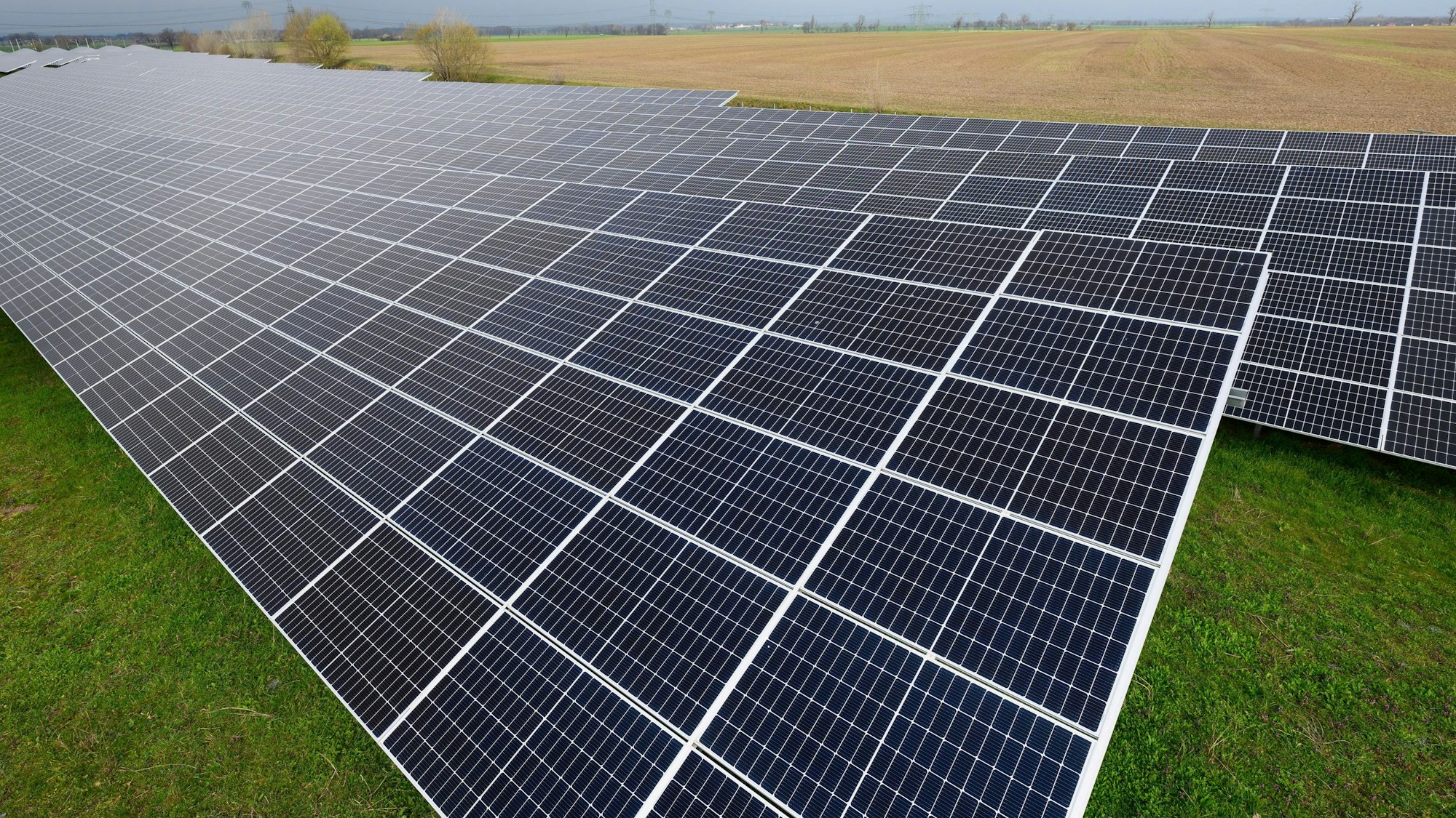 Eine Freiflächen-Solaranlage steht auf einer Wiese.