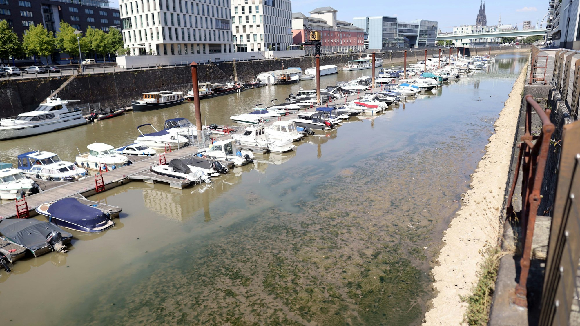 Niedrigwasser im Yachthafen