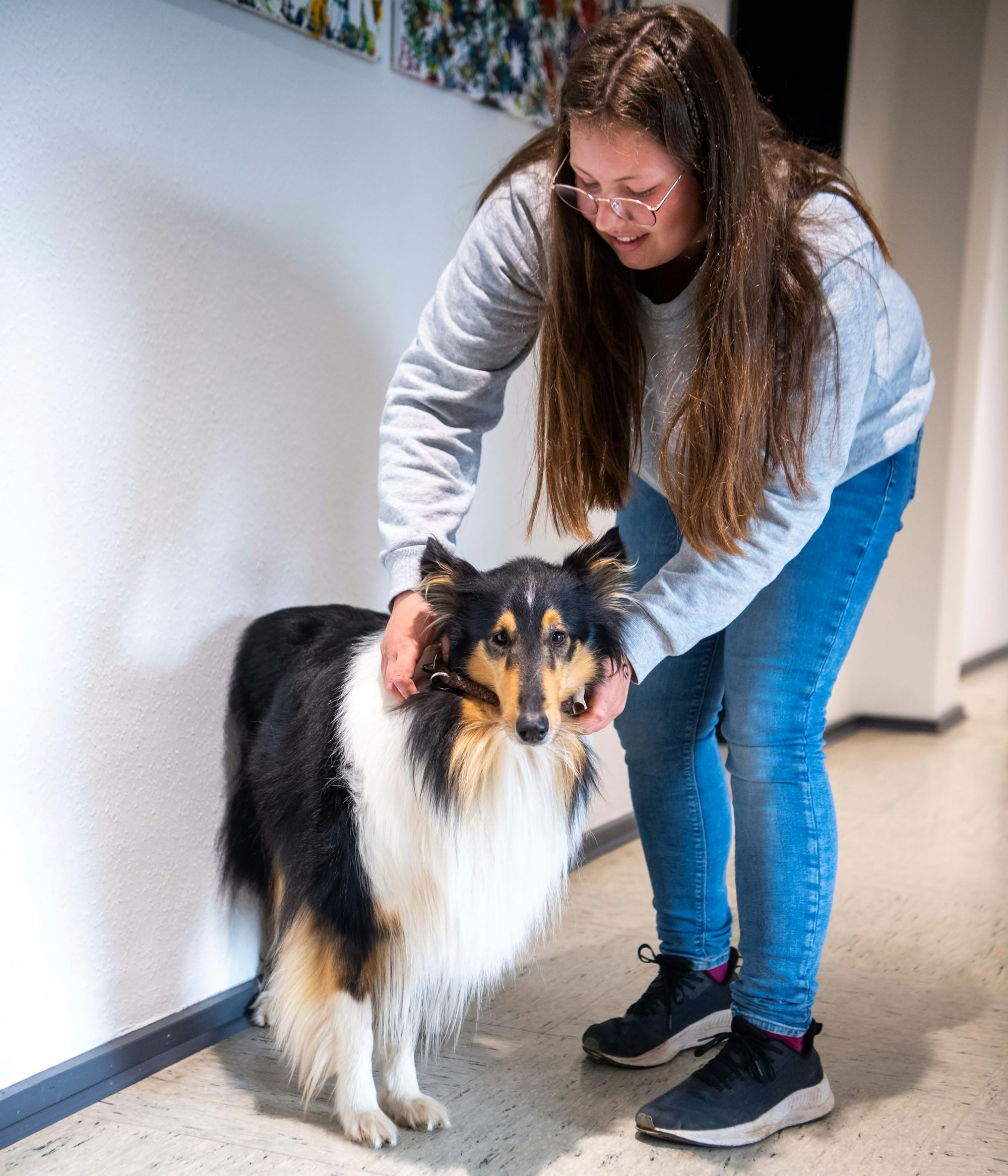 Ein Mädchen legt einem Hund ein Halsband an.