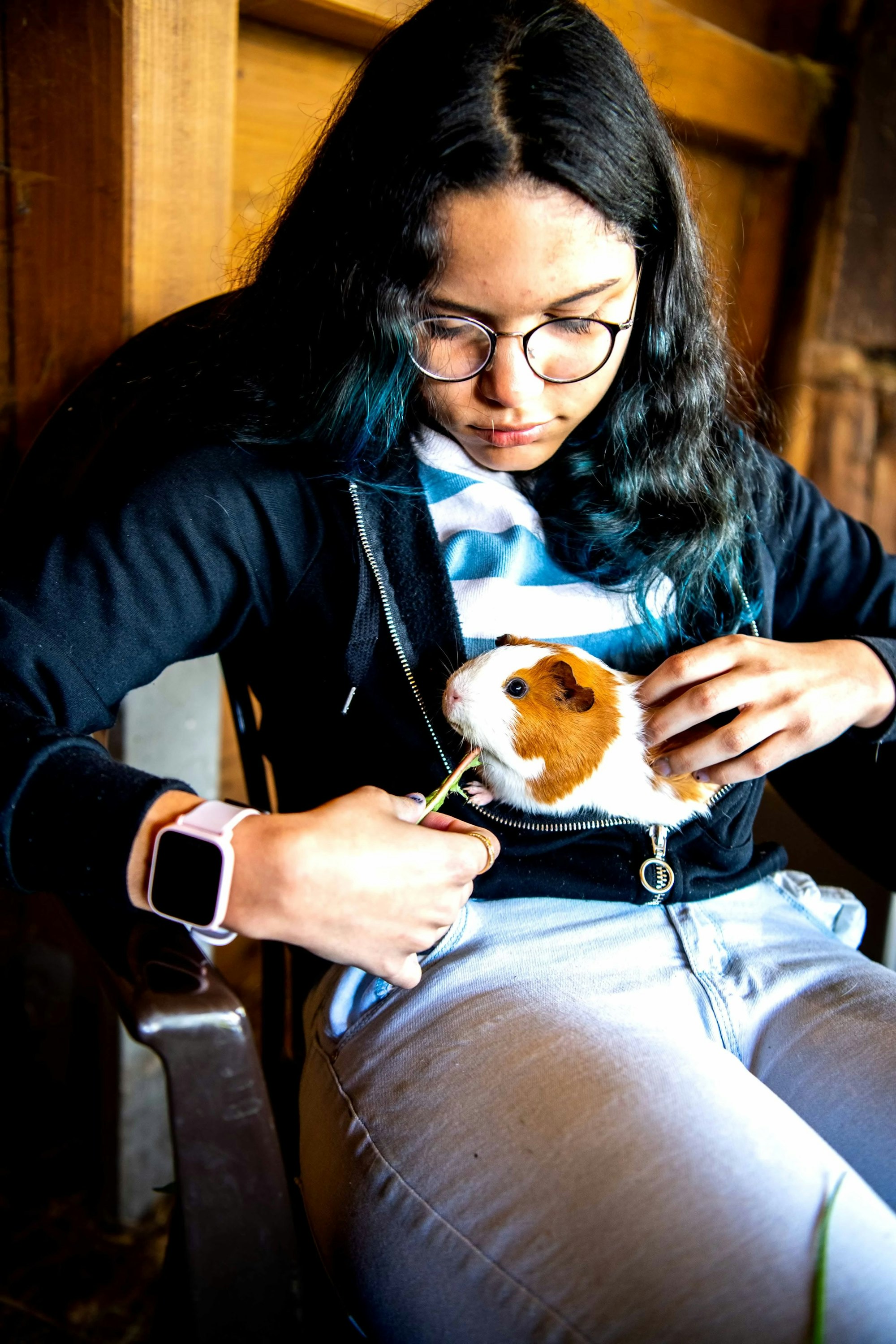Ein Mädchen mit Brille und Armbanduhr füttert ein Meerschweinchen, das in ihrer offenen Sweatshirtjacke Platz findet.