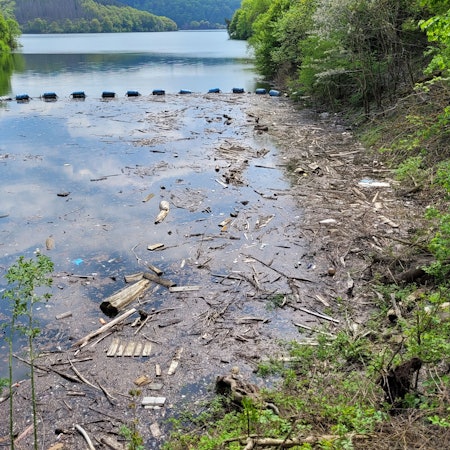 Verschmutzung an der Urfttalsperre