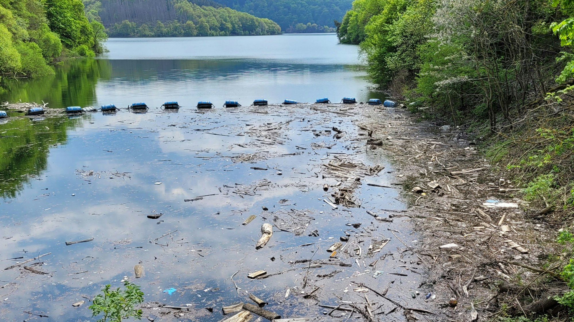 Verschmutzung an der Urfttalsperre