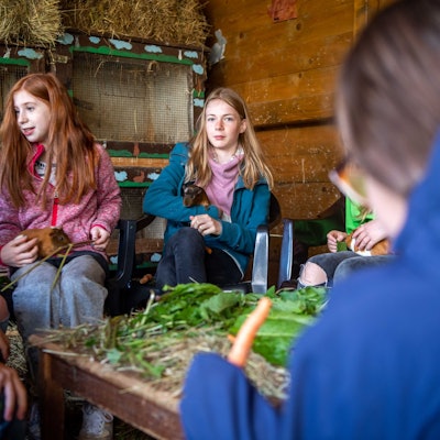 Kinder, die im Kreis in einer Hütte sitzen, halten Meerschweinchen auf den Armen.