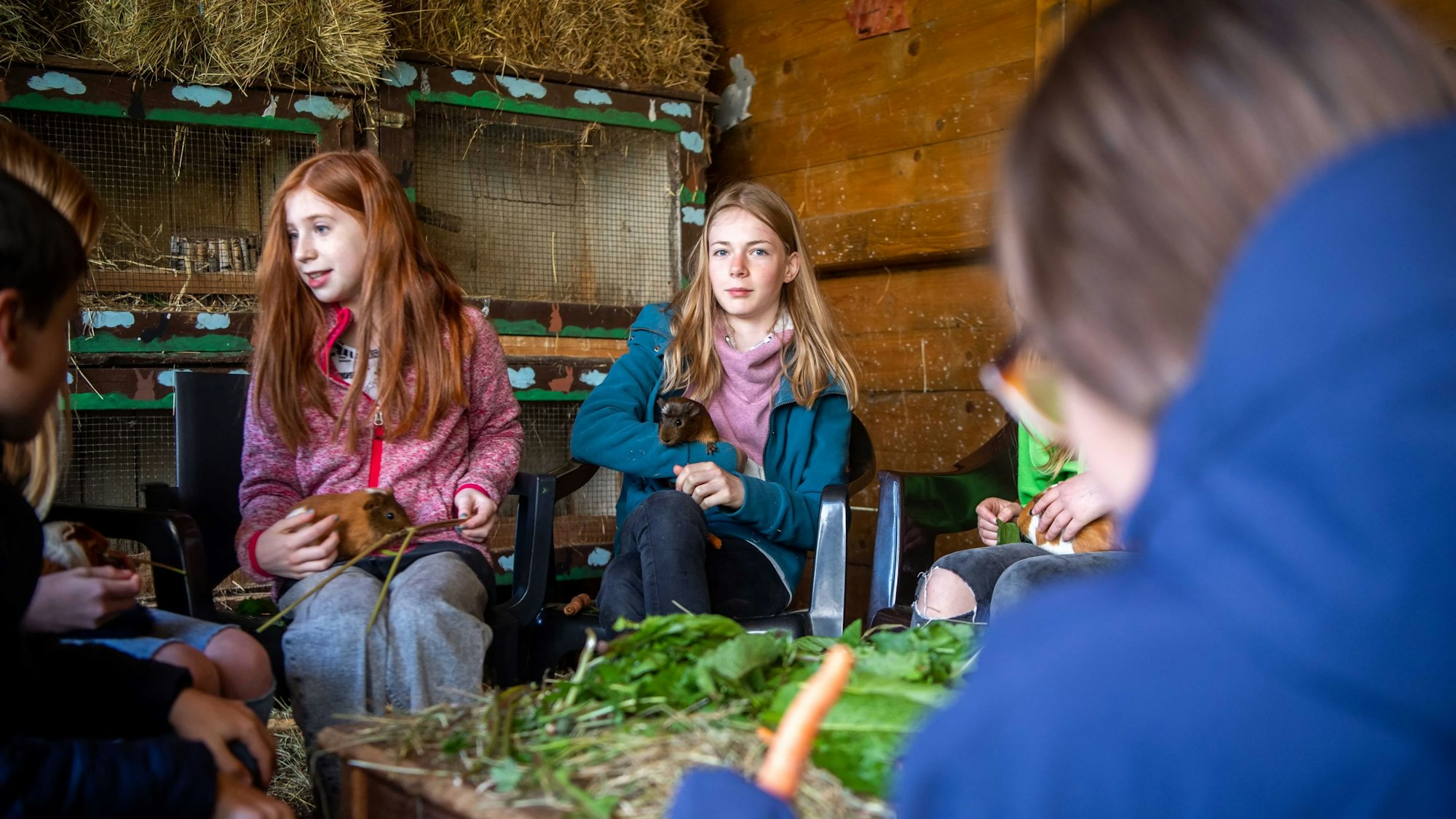 Kinder, die im Kreis in einer Hütte sitzen, halten Meerschweinchen auf den Armen.