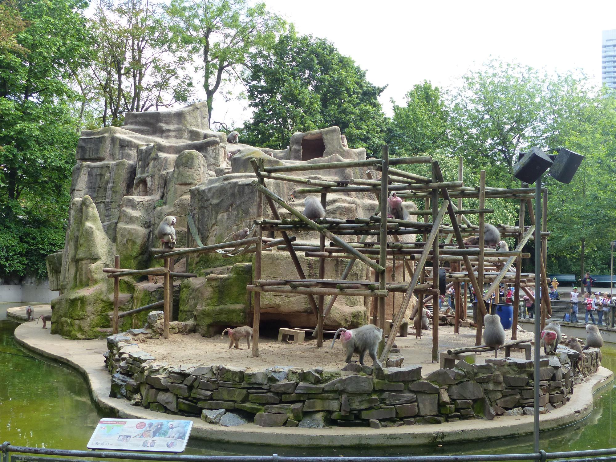 Nach der Idee des legendären Hamburger Zoodirektors Carl Hagenbeck wurde der Felsen der Paviane angelegt.