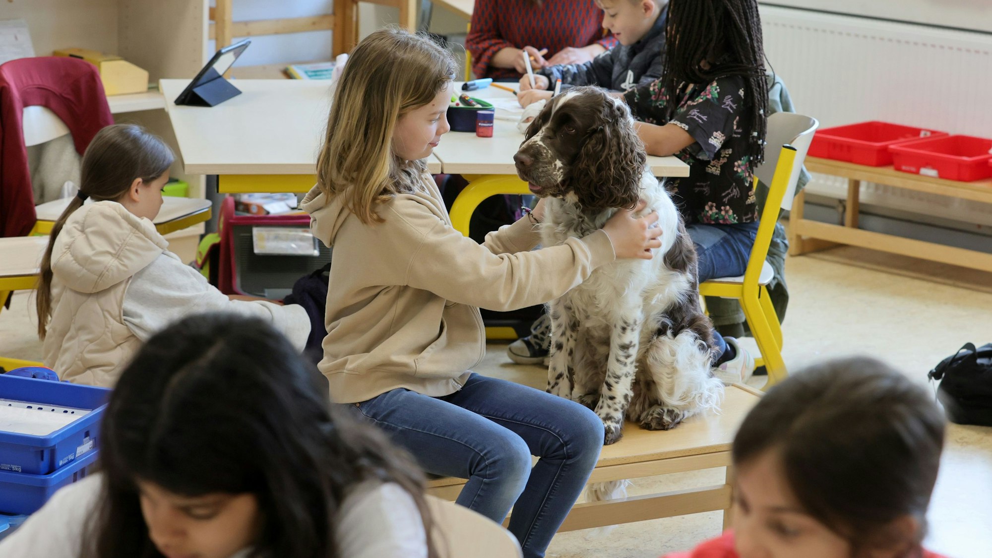 Die Schülerin Sarah streichelt Klassenhund Linn