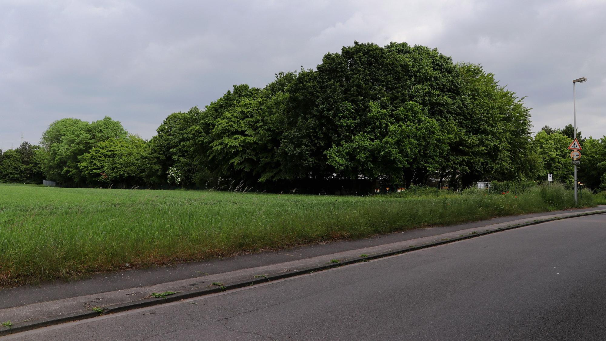Konkrete Formen nimmt das Donatus-Quartier langsam an, wo acht Gebäude mit 60 Wohnungen entstehen sollen.