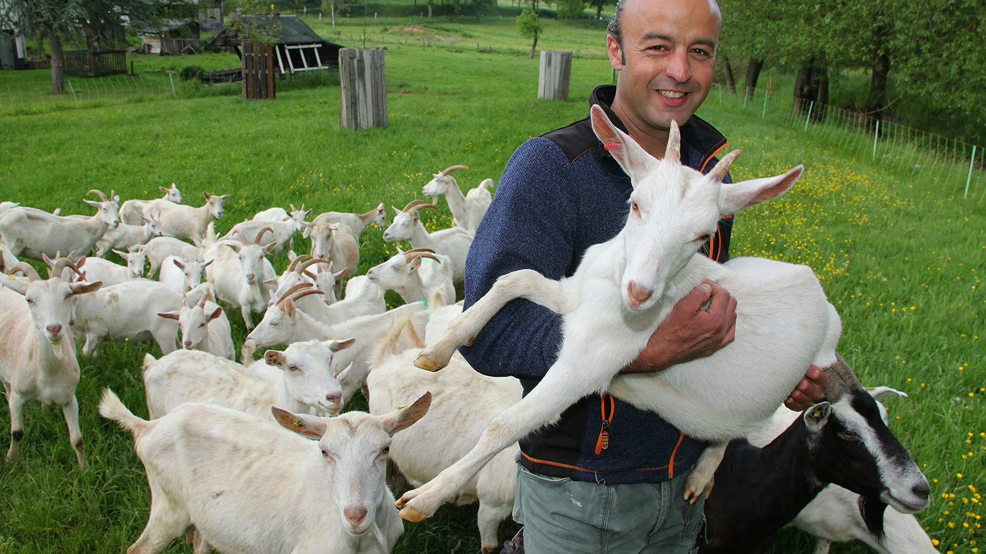 David Rauch vom Kolvenbacher Ziegenhof mit seiner Herde.
