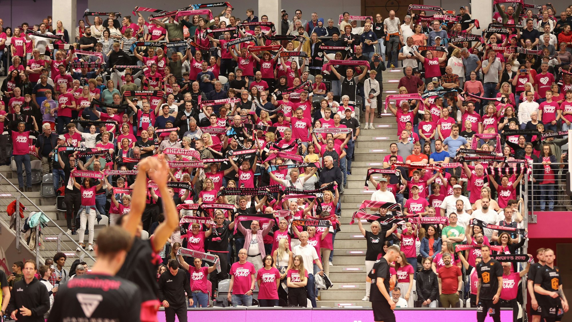 Die Fans der Telekom Baskets Bonn stehen auf der Tribüne.