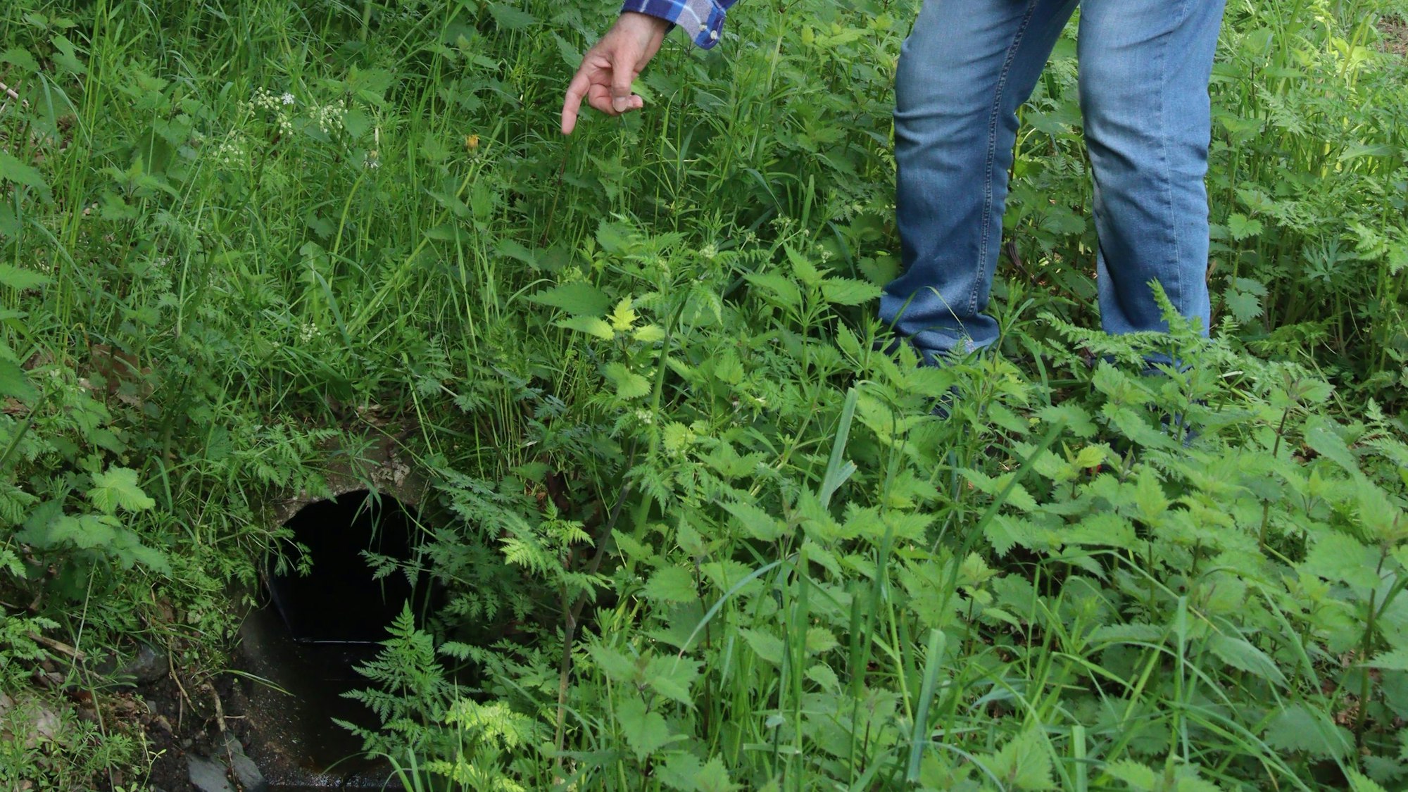 Der Ausgang des Regenwasserkanals im Straßengraben.
