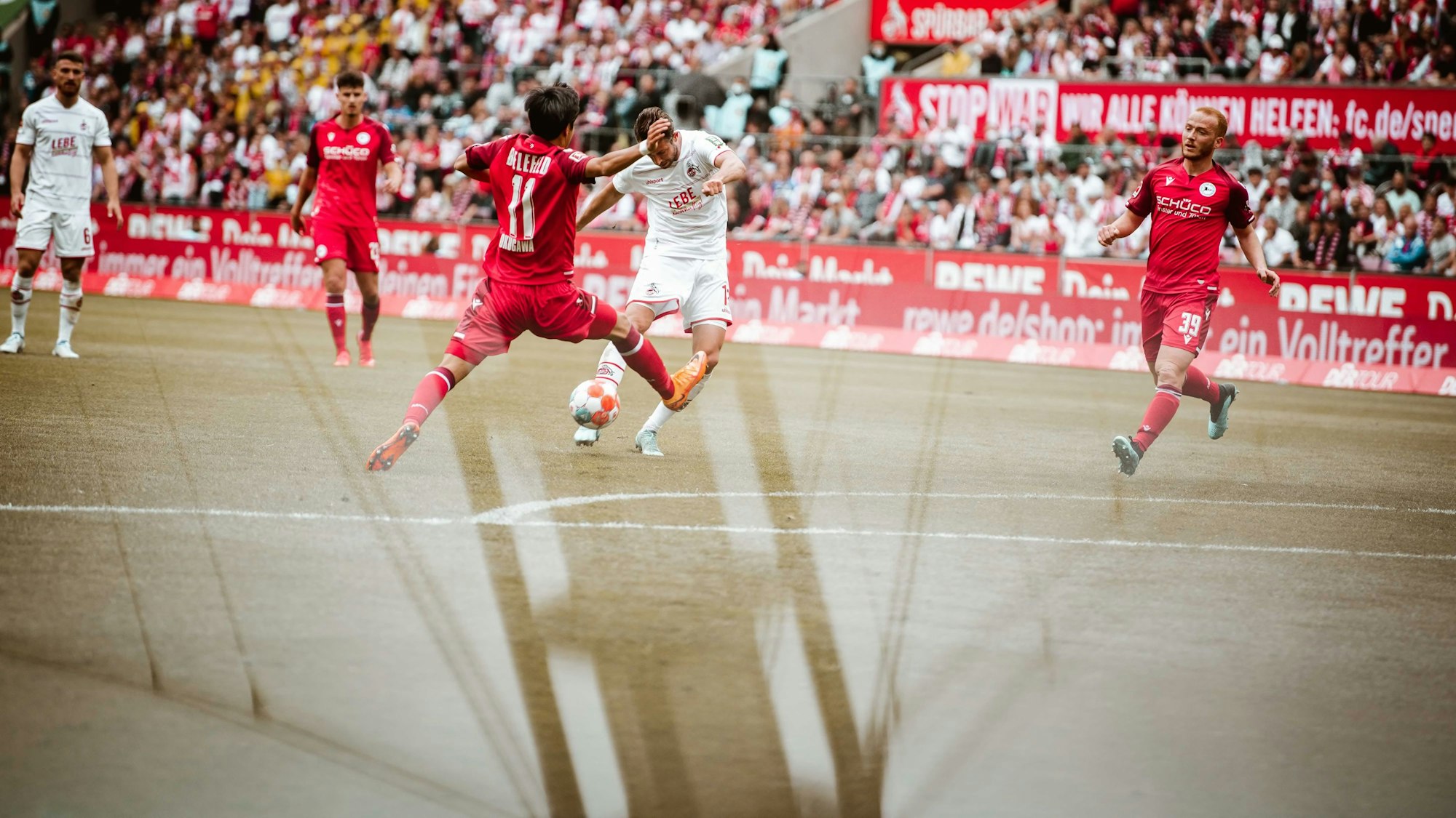Beim Saisonfinale in der Bundesliga könnte der 1. FC Köln noch eine entscheidende Rolle spielen.