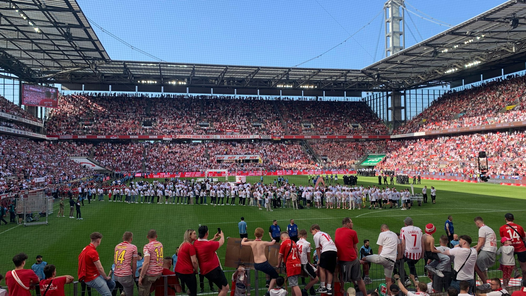 Spalier für Horn und Hector.