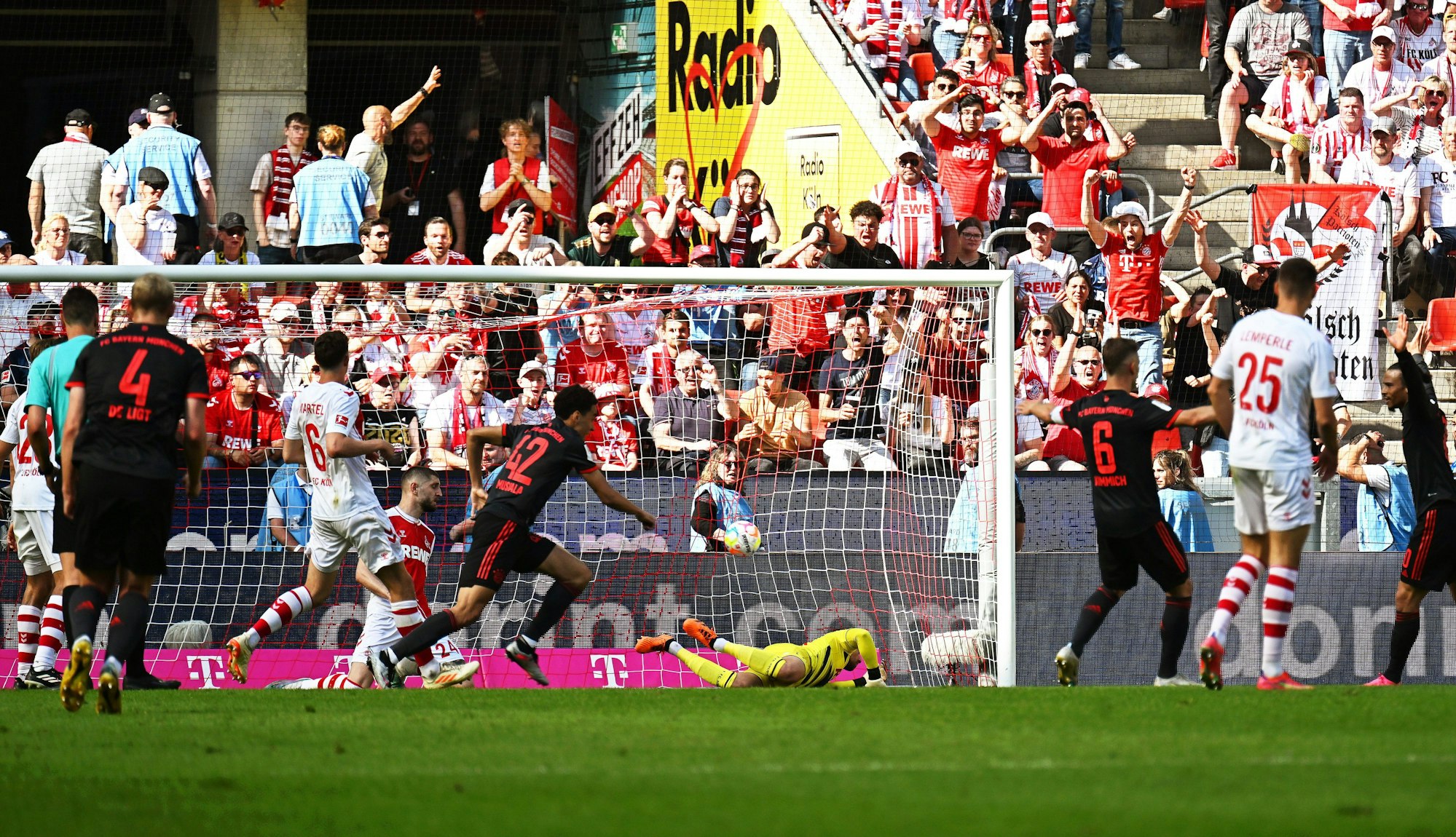 27.05.2023, Nordrhein-Westfalen, Köln: Fußball: Bundesliga, 1. FC Köln - Bayern München, 34. Spieltag, RheinEnergieStadion. Bayerns Jamal Musiala (Mitte l) jubelt nach seinem Treffer zum 2:1. WICHTIGER HINWEIS: Gemäß den Vorgaben der DFL Deutsche Fußball Liga bzw. des DFB Deutscher Fußball-Bund ist es untersagt, in dem Stadion und/oder vom Spiel angefertigte Fotoaufnahmen in Form von Sequenzbildern und/oder videoähnlichen Fotostrecken zu verwerten bzw. verwerten zu lassen. Foto: Federico Gambarini/dpa +++ dpa-Bildfunk +++