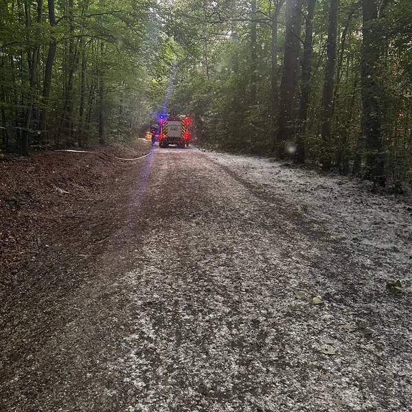 Das Foto zeigt die Einsatzfahrzeuge und der mit Pollen bedeckte Waldweg.