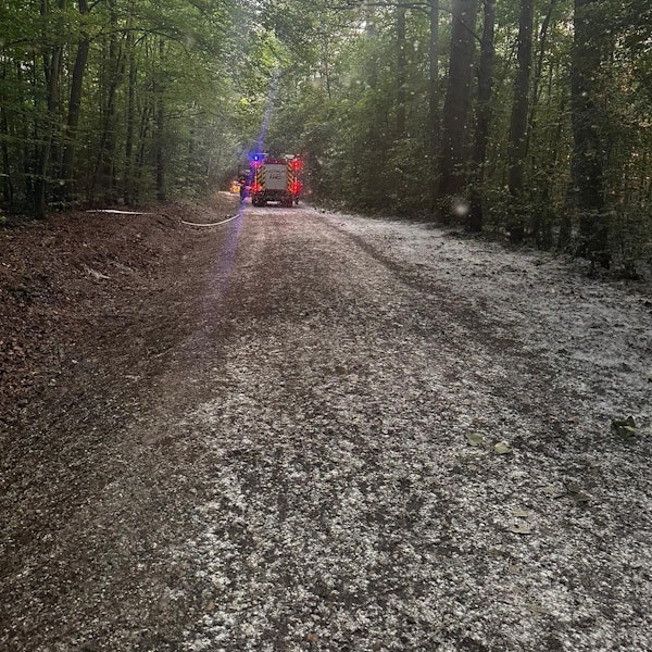 Das Foto zeigt die Einsatzfahrzeuge und der mit Pollen bedeckte Waldweg.