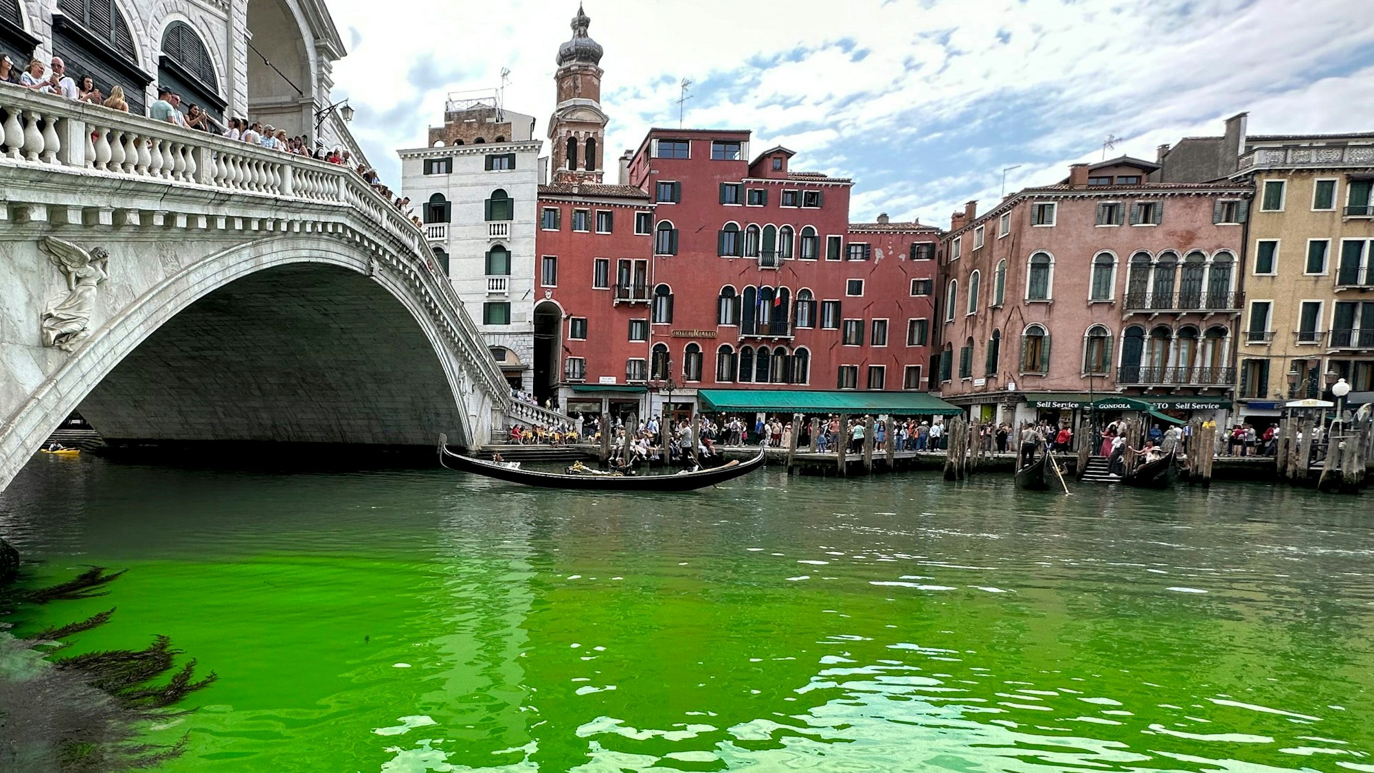 Zahlreiche Schaulustige stehen am Canale Grande in Venedig, dessen Wasser am Pfinstsonntag grün leuchtete.