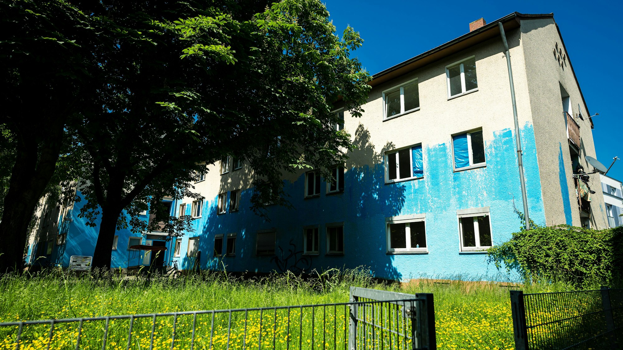 Ein Haus, das weiß und blau angestrichen ist.