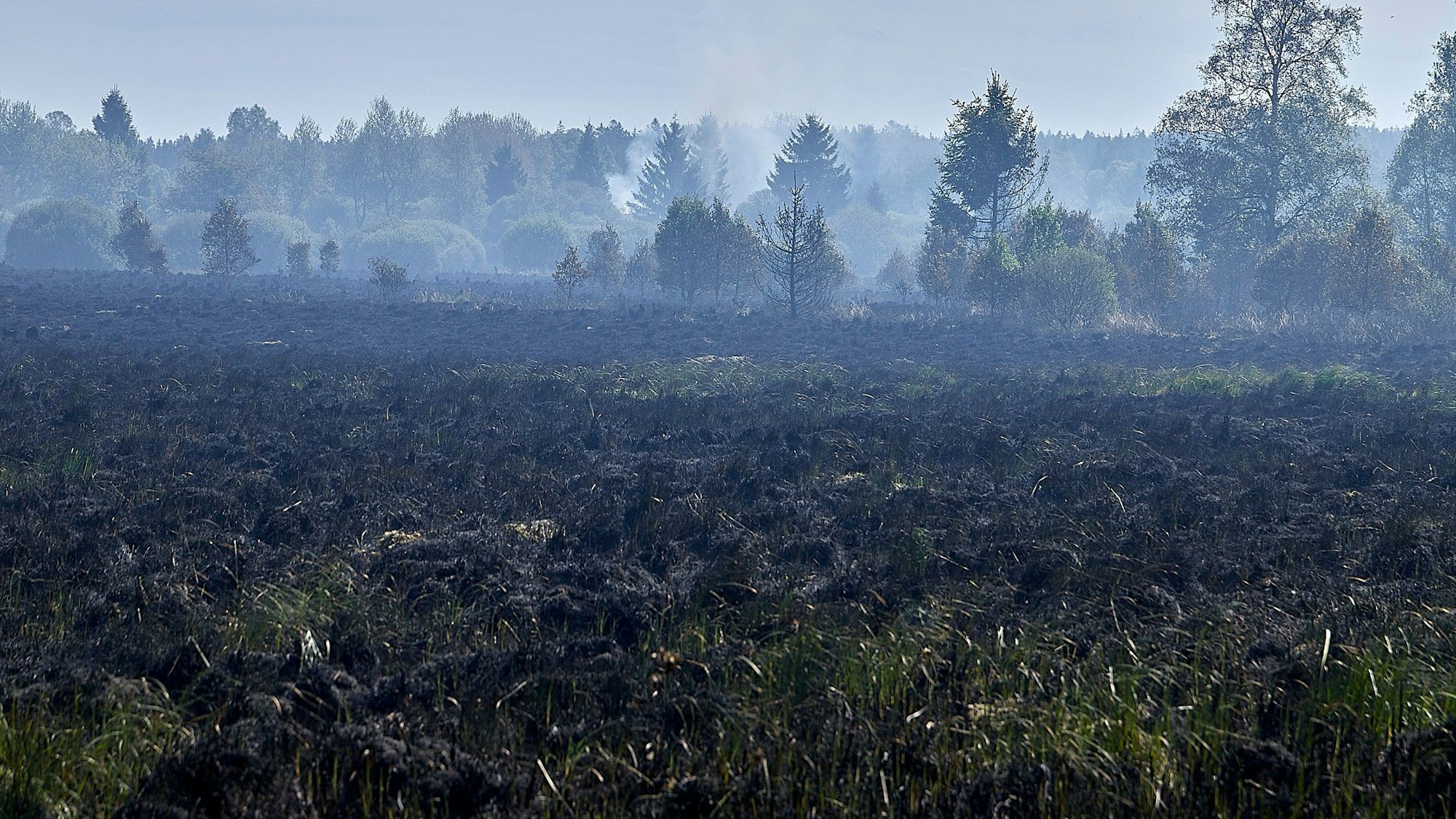 Mit einem Großaufgebot an Einsatzkräften waren die belgische und deutsche Feuerwehr gemeinsam im Venn unterwegs, um einen Oberflächenbrand zu löschen. Am Vormittag flammte das Feuer wieder auf