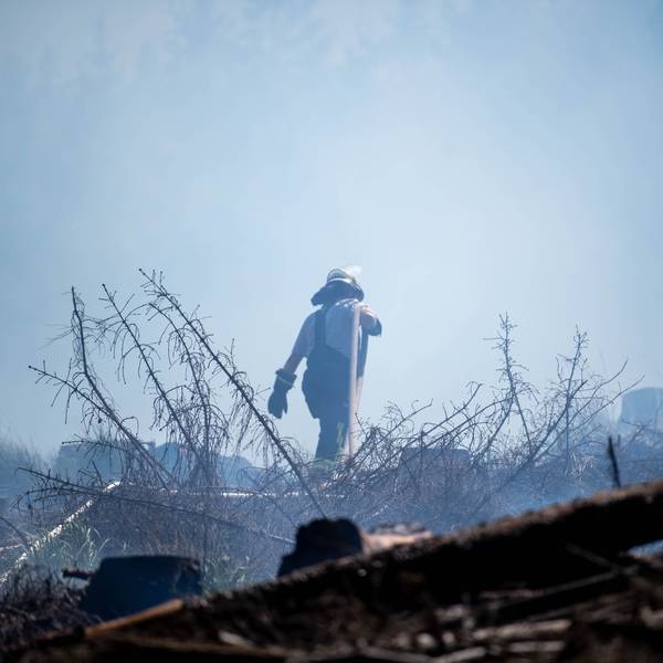 Zwischen Kirchheim und Loch brannte ein Waldstück im Mai 2022. Mehr als 120 Feuerwehrleute waren im Einsatz.