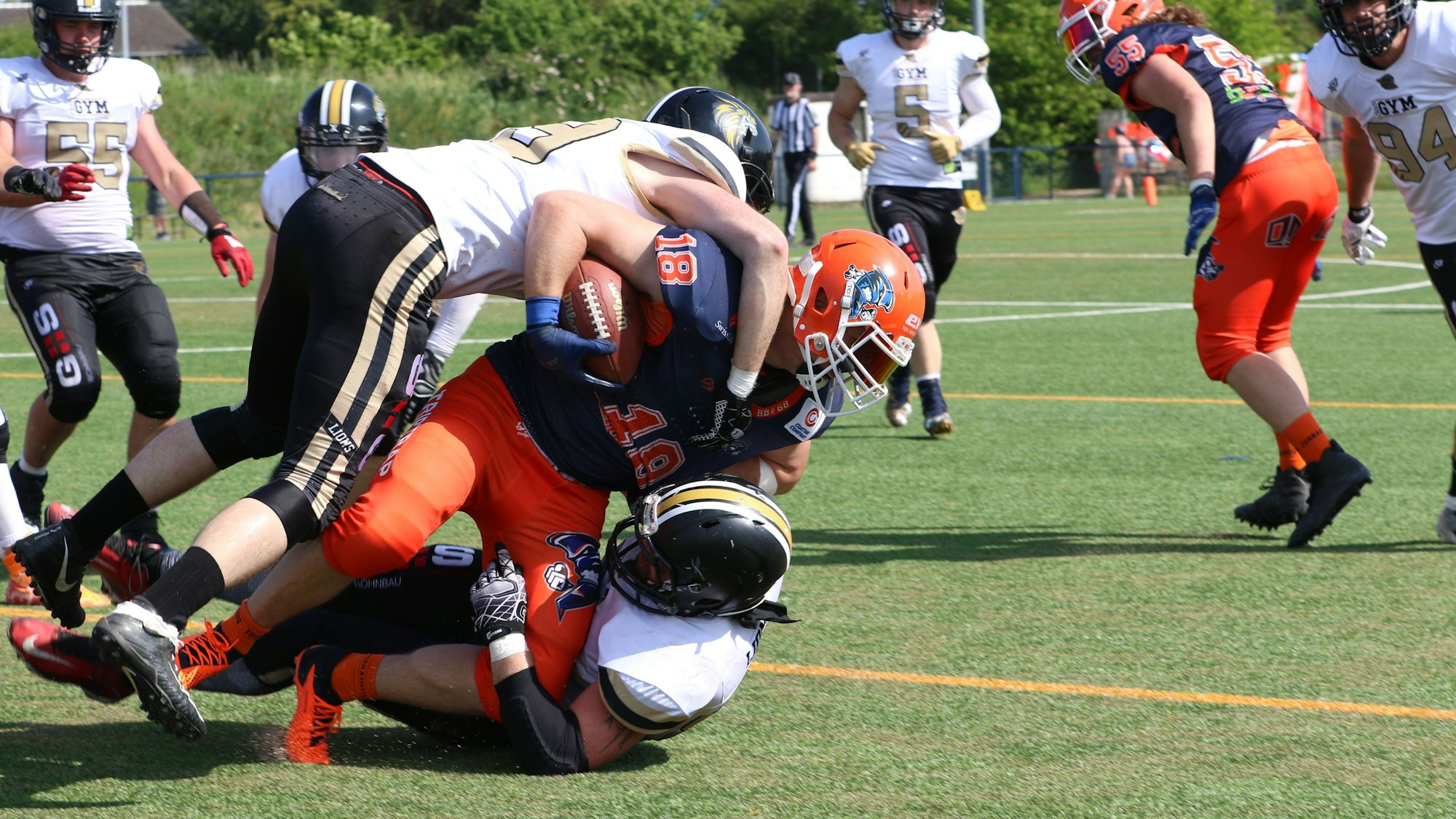 Die Euskirchen Lions (weiss) gewannen gegen die Oberhausen Tornados (blau-orange). Ein Ballträger wird beim American Football von Gegenspielern zu Fall gebracht.