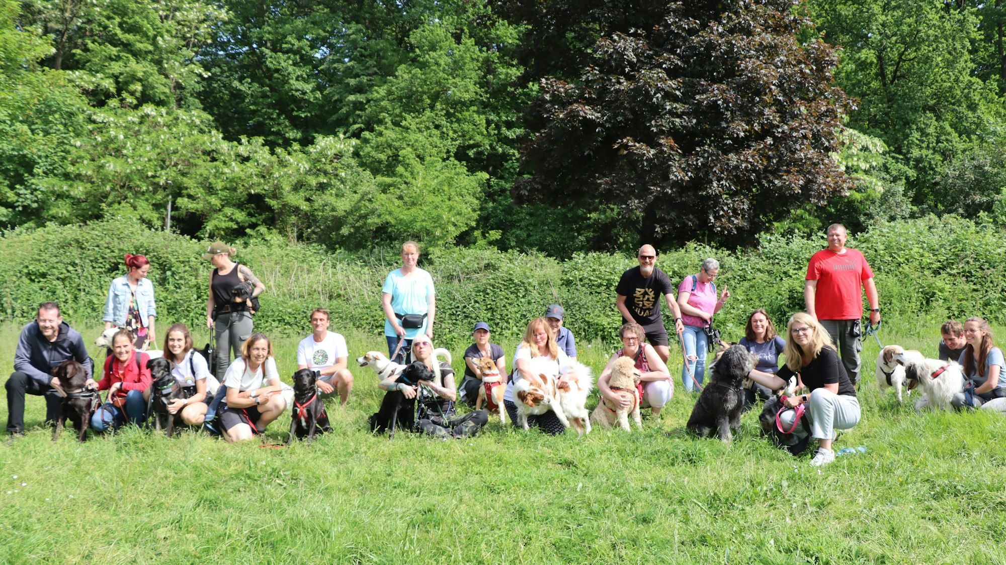 Das Foto zeigt die Teilnehmerinnen und Teilnehmer des Spendenlaufs gegen illegalen Welpenhandel.