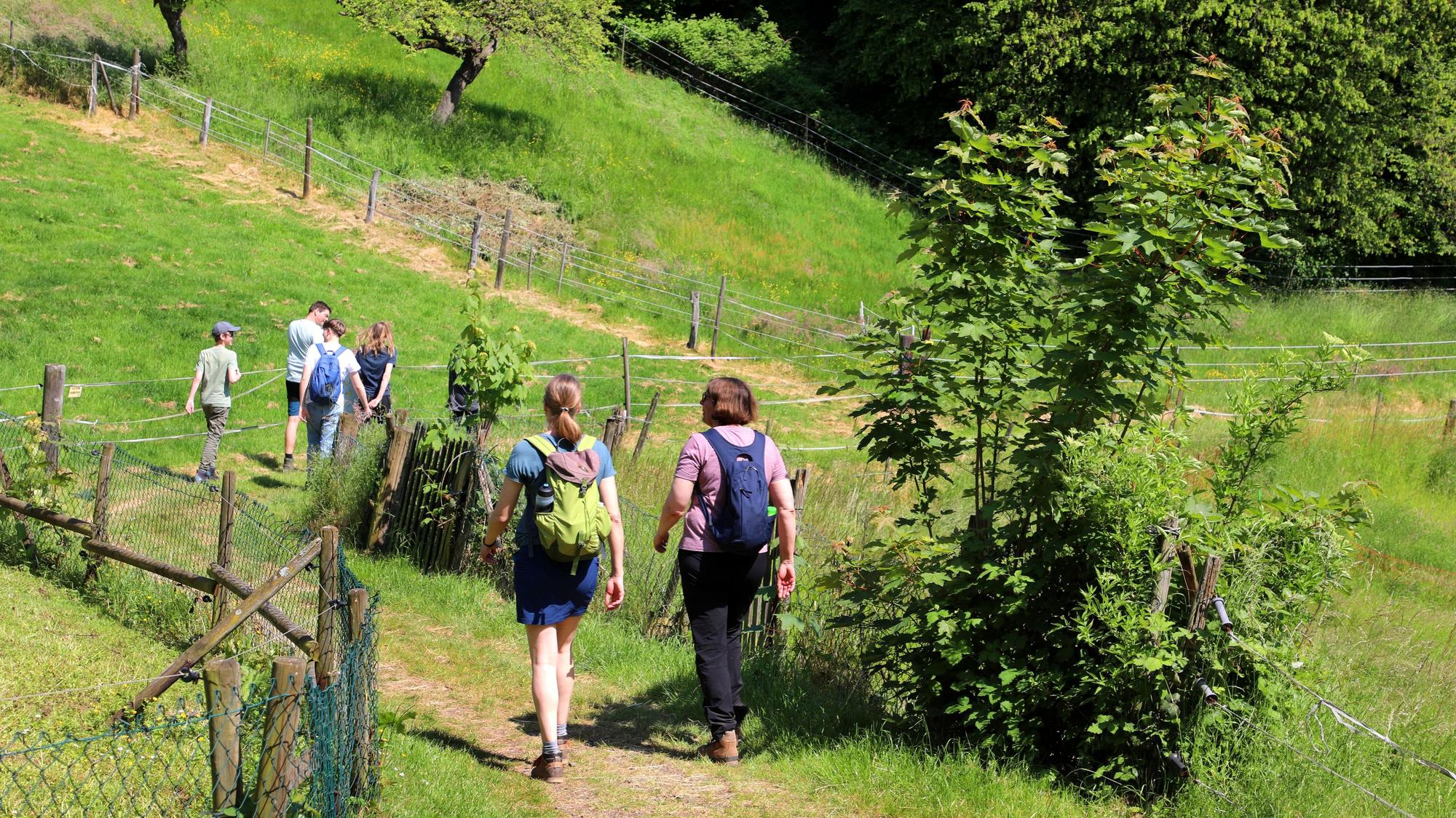 Zwei Familien laufen auf einem Wanderweg zwischen Wiesen hindurch.