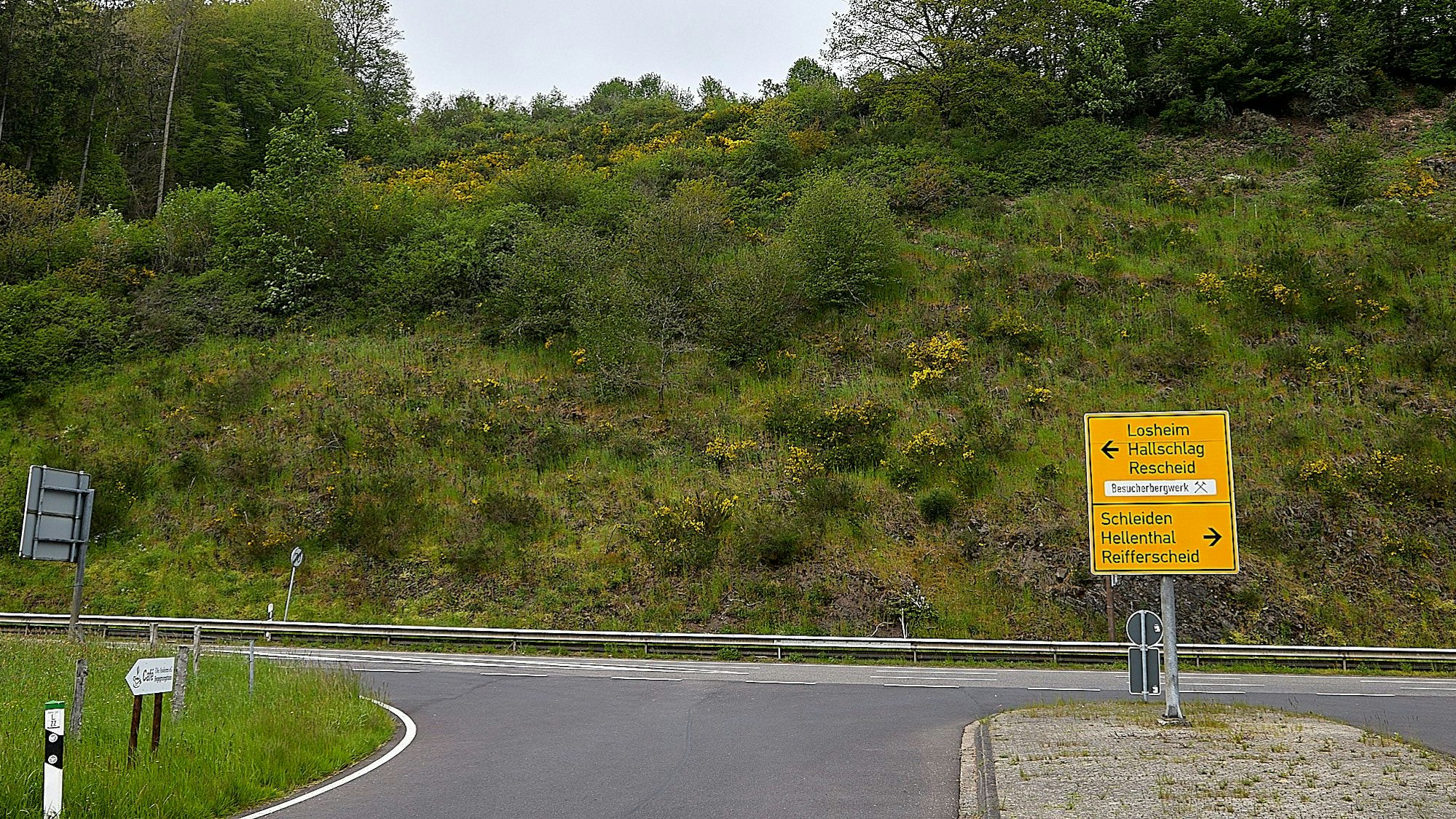 Das Bild zeigt eine Straße und einen sich dahinter erstreckenden Hang.