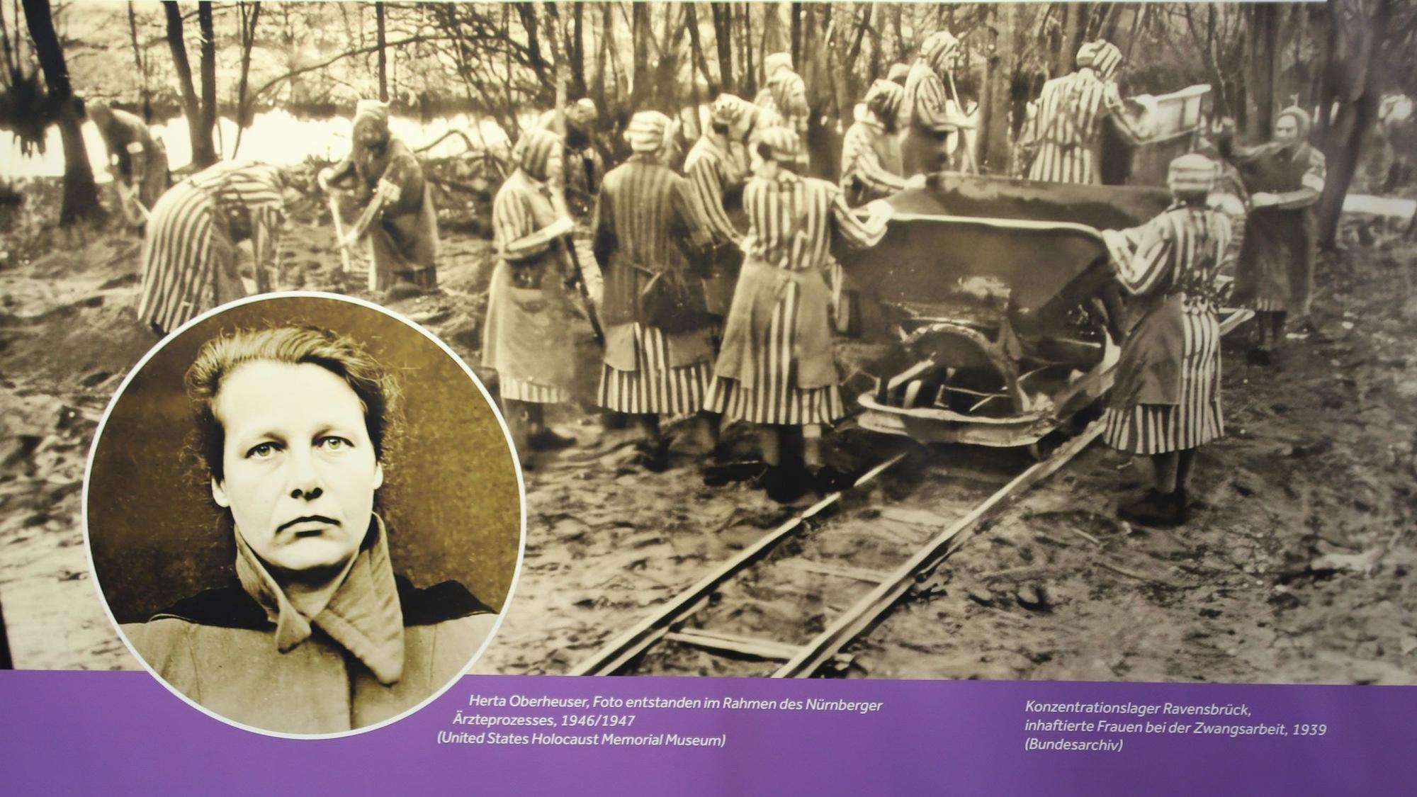 Ein Bild der Ausstellung der NS-Zeit im Rhein-Sieg-Kreis.