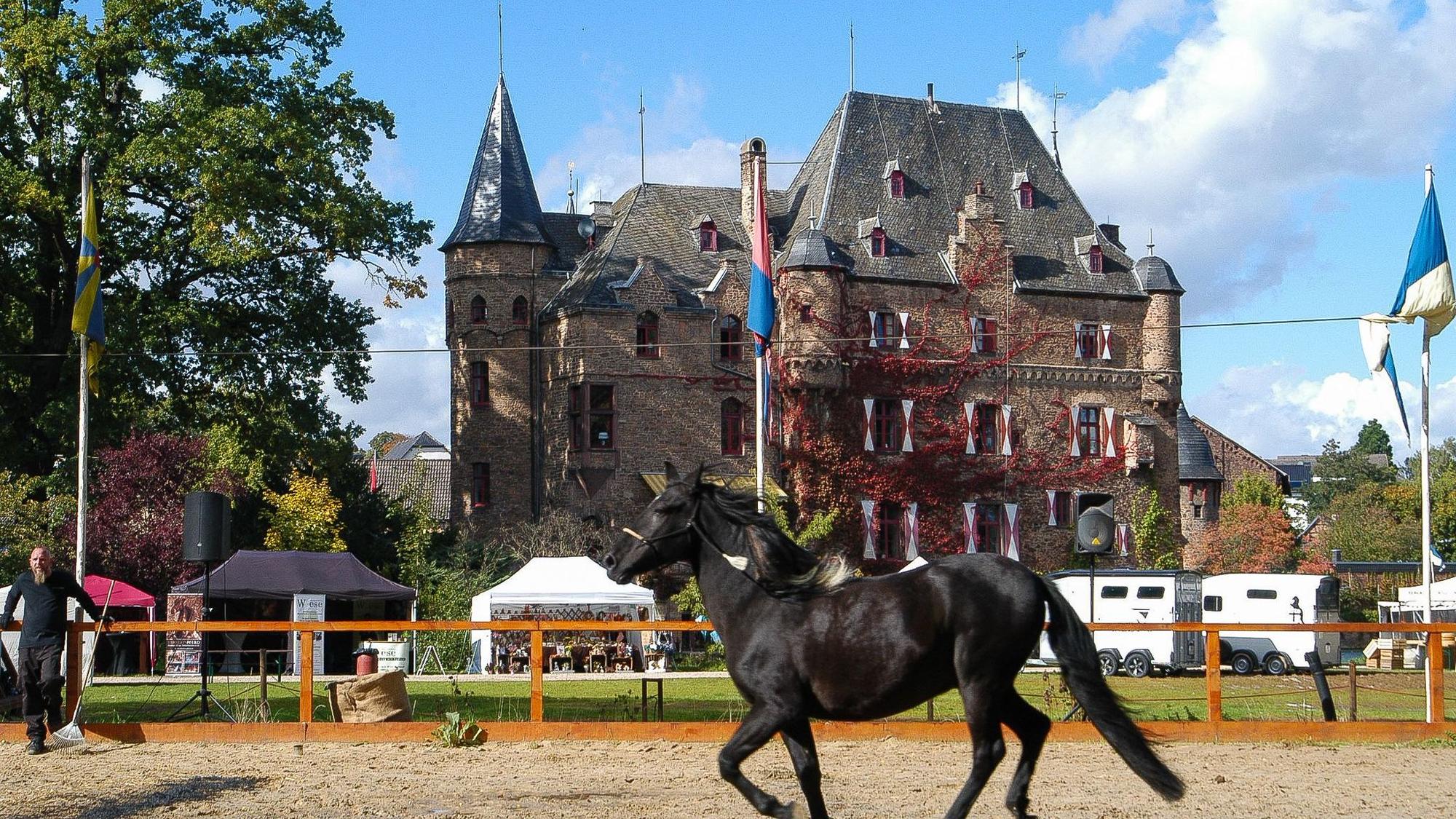 Reitvorführung beim Herbst- und Reitermarkt auf Burg Satzvey.