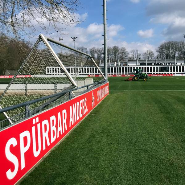 Seit 1953 ist das Geißbockheim die Heimat des 1.FC Köln. Auch in Zukunft werden Profis und Nachwuchskicker hier trainieren.