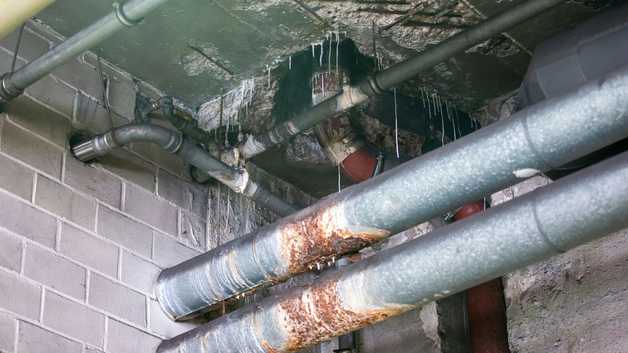 Die Decke der Dombauhütte.