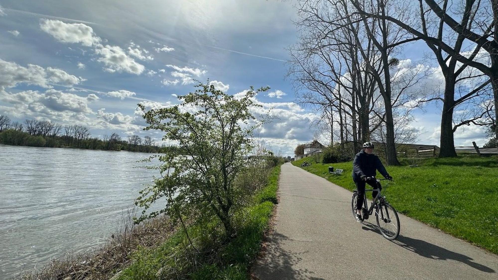 Ein Fahrrad-Fahrer fährt den Radweg entlang am Rhein.