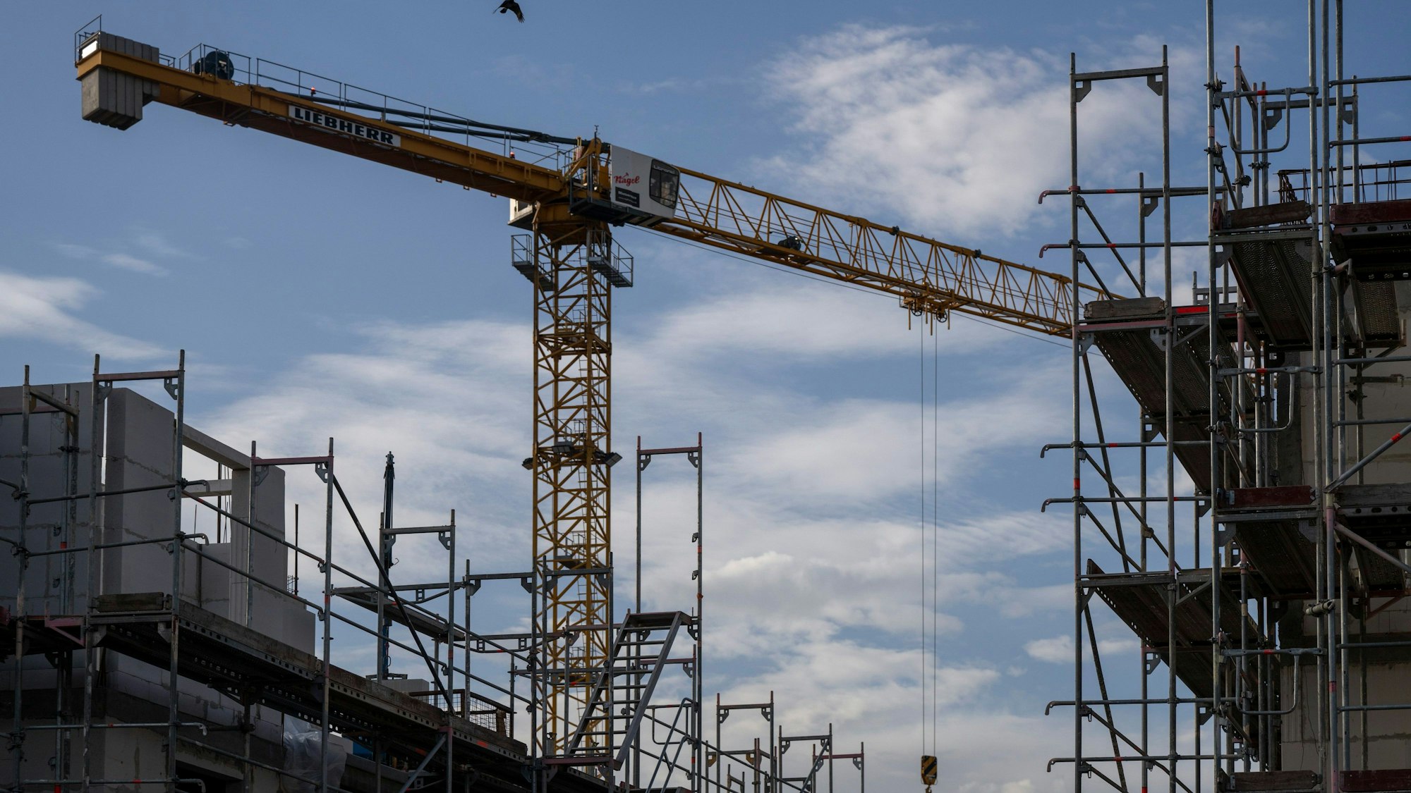 Ein Turmdrehkran ragt in den Himmel auf einer Baustelle zwischen neu errichteten Wohnhäusern. Der Wohnungsbau in Köln stagniert seit Jahren auf niedrigem Niveau. (Symbolbild)