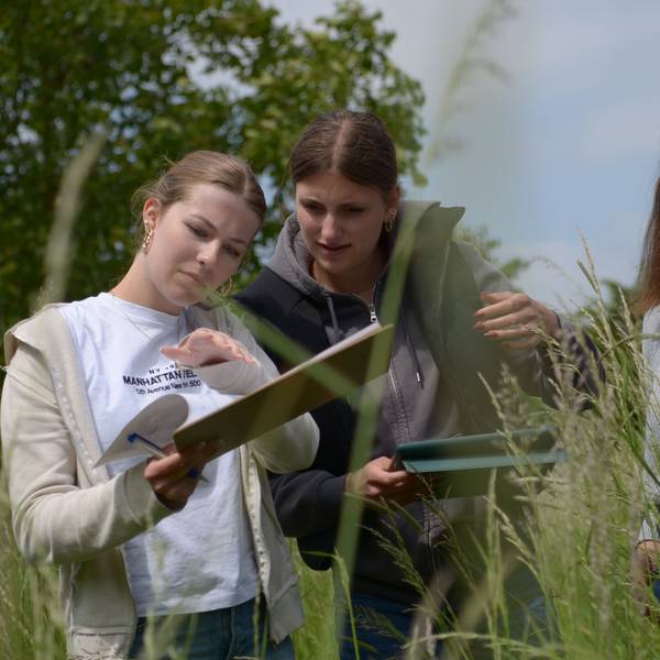 Das Bild zeigt drei Schülerinnen der elften Klasse, die im Rahmen eines Naturschutzprojekts mit Klemmbrettern auf einer Wiese mit hohen Gräsern unterwegs sind.