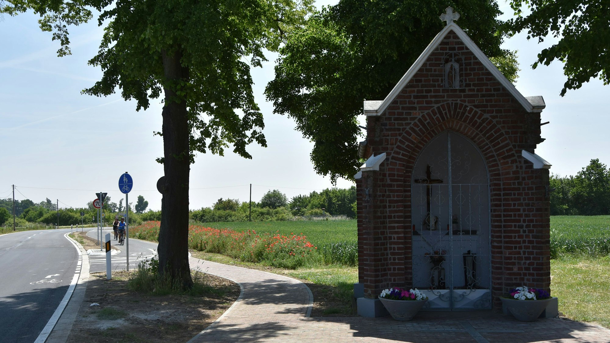 Das Foto zeigt den Radweg von Berrendorf-Wüllenrath zum Forum Terra Nova.