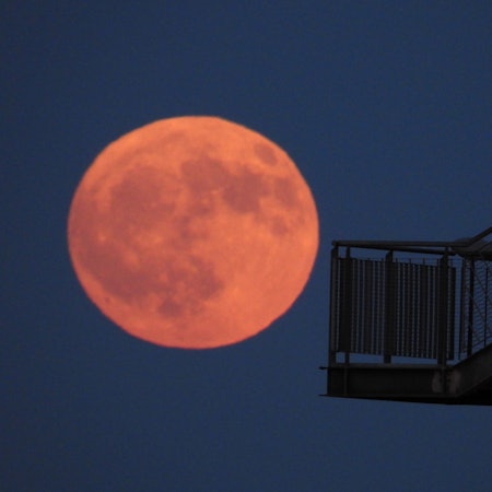 Der sogenannte Erdbeermond leuchtet am Himmel in der Nacht zu Sonntag in Hamburg.