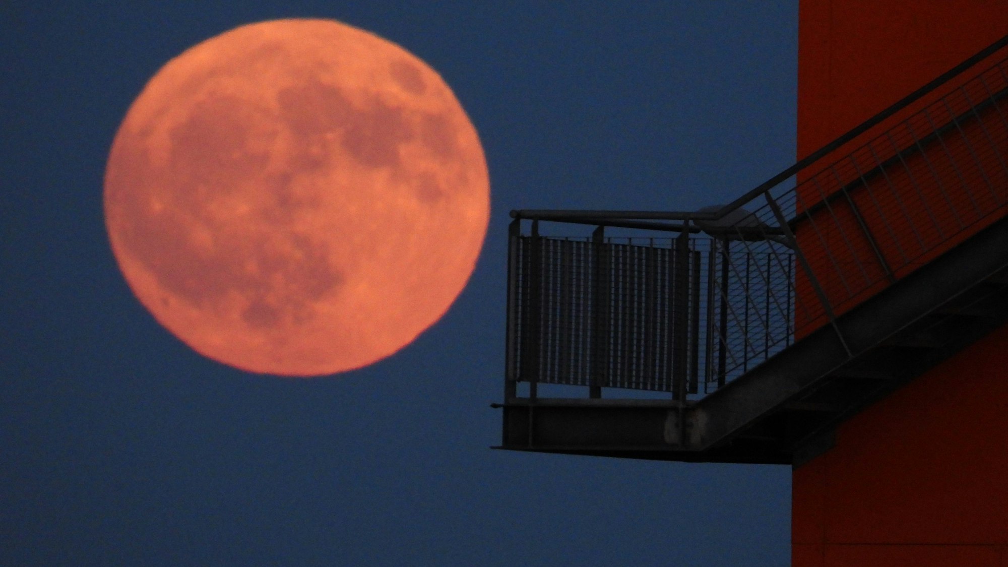 Der sogenannte Erdbeermond leuchtet am Himmel in der Nacht zu Sonntag in Hamburg.