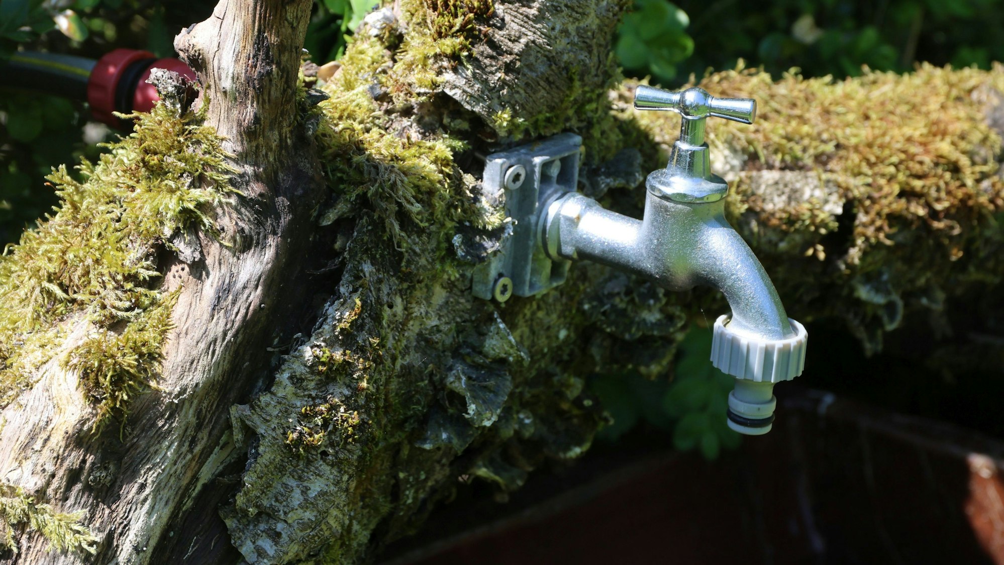 In das urige Ambiente ist ein Wasserhahn integriert.