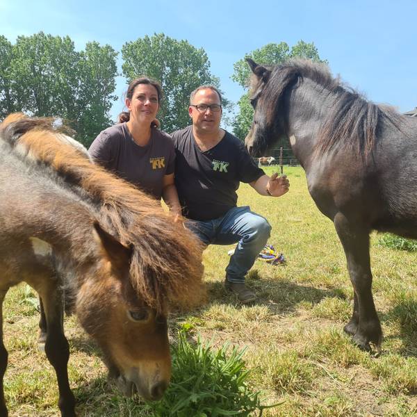 Ein Mann und eine Frau sitzen auf einer Weide in der Hocke mit zwei Ponys neben ihnen.