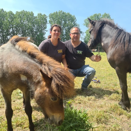 Ein Mann und eine Frau sitzen auf einer Weide in der Hocke mit zwei Ponys neben ihnen.