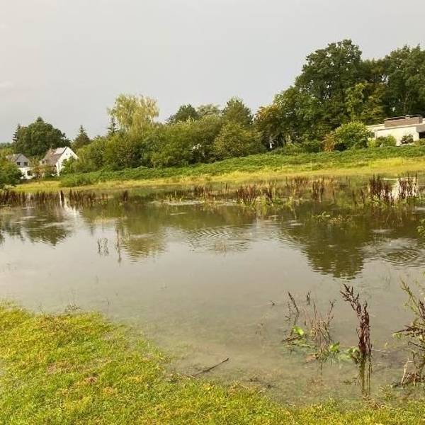 Wiese an der Alten Marktstraße in Refrath nach Regenfällen