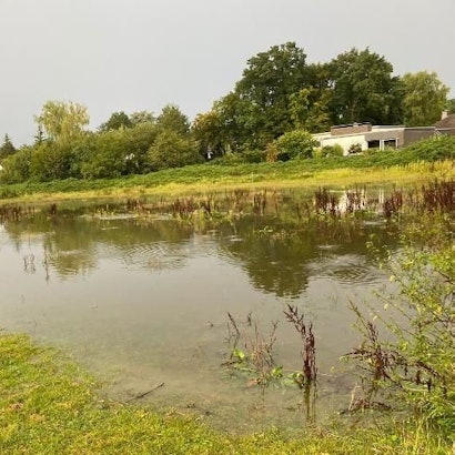Wiese an der Alten Marktstraße in Refrath nach Regenfällen