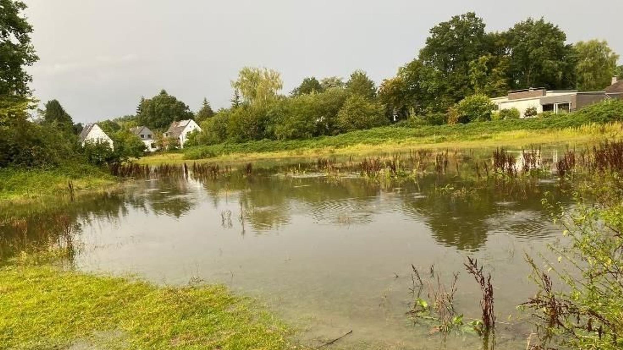 Wiese an der Alten Marktstraße in Refrath nach Regenfällen